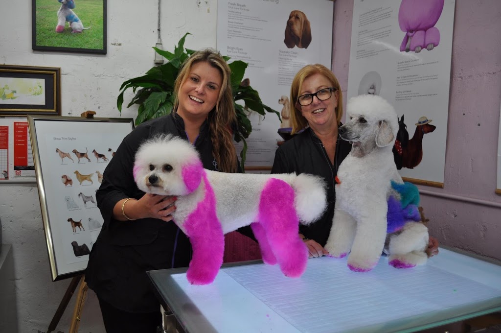 Becky Lees Mobile Pet Styling | 41 Waikiki Rd, Bonnells Bay NSW 2264, Australia | Phone: 0432 899 156