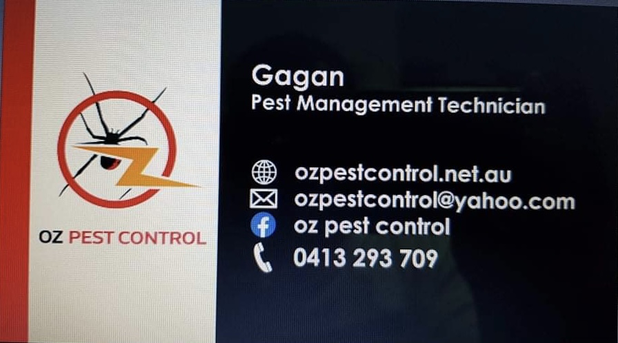 Oz pest control | 20 Pandanus Ct, Regents Park QLD 4118, Australia | Phone: 0413 293 709