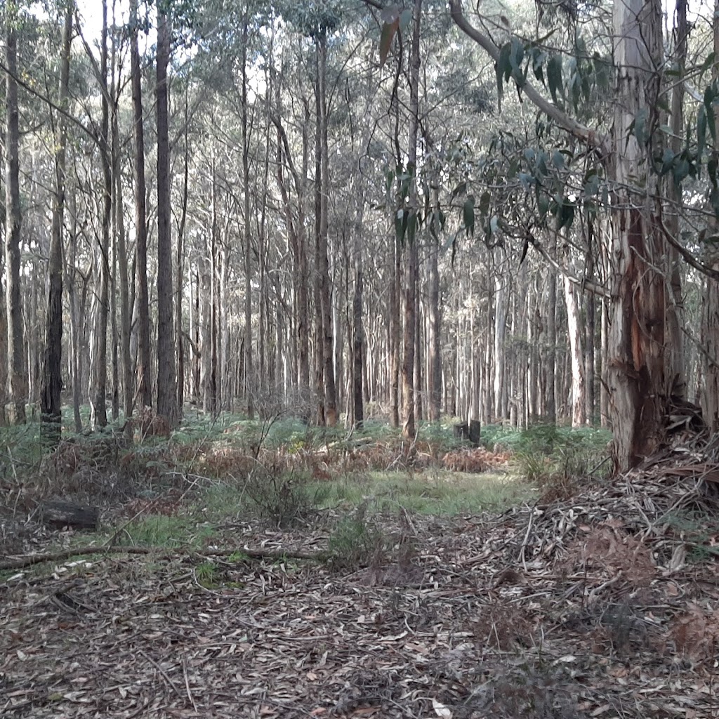 Frogmore Gardens | 1560 Greendale-Trentham Rd, Lerderderg VIC 3458, Australia | Phone: (03) 5424 1777