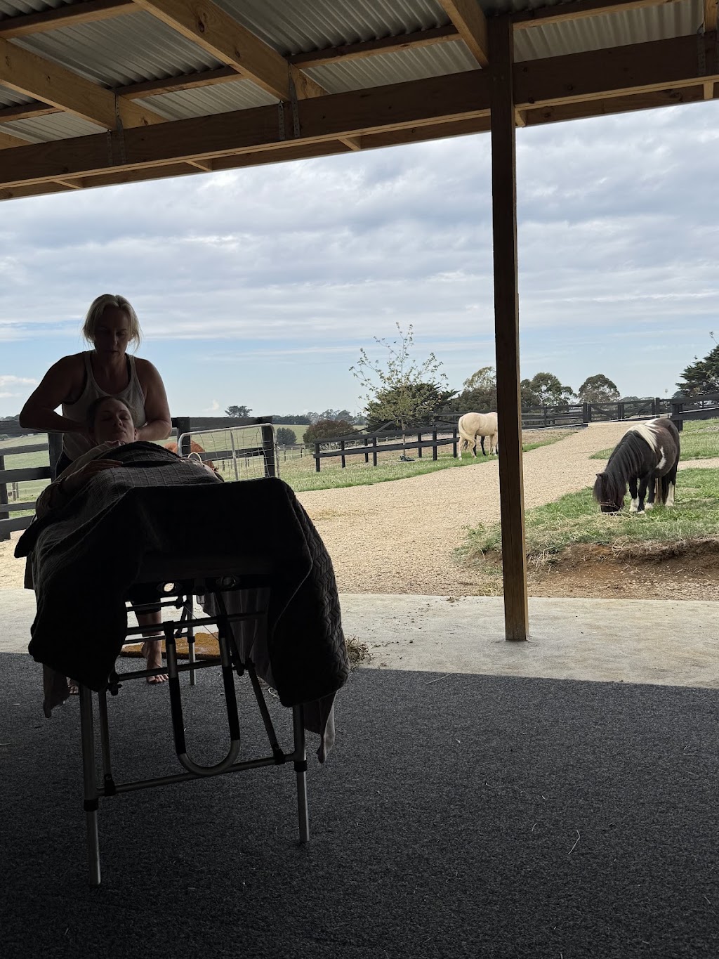 Lillico Nurture | 500 Copelands Rd, Lillico VIC 3820, Australia | Phone: 0418 372 880