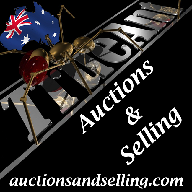 TrueAnt Auctions and Selling | 10 Veness St, West Tamworth NSW 2340, Australia | Phone: 0429 112 284