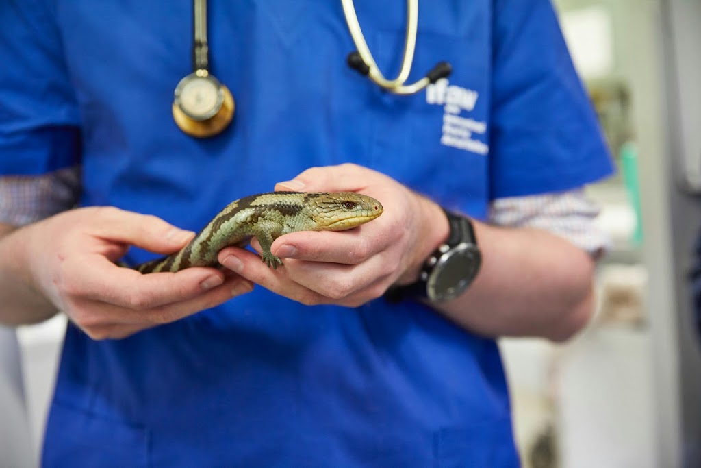 Samford Emergency & Day Vets 24/7 | 1 Serendipity Dr, Samford Valley QLD 4520, Australia | Phone: (07) 3289 9073