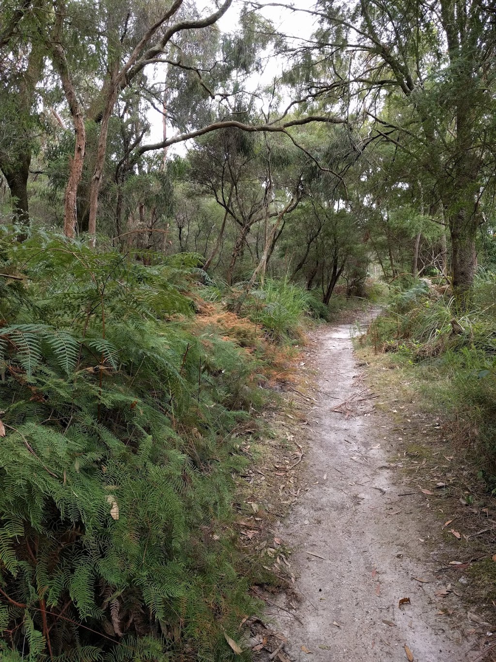Whipstick Gully Natural Features Reserve. | park | LOT 19 Wilson Rd, Foster VIC 3960, Australia