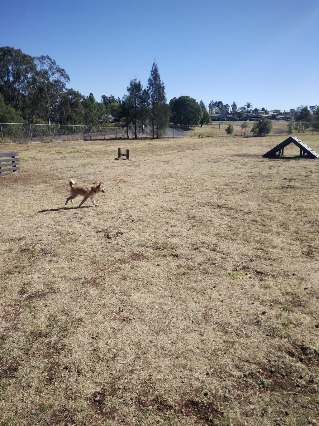 Theiss Dog Park | Darling Heights QLD 4350, Australia