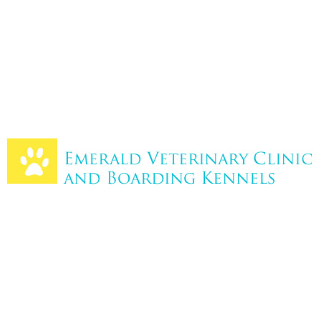Emerald Veterinary Clinic And Boarding Kennels | veterinary care | 13 Littlefield St, Blackwater QLD 4717, Australia | 0749825222 OR +61 7 4982 5222