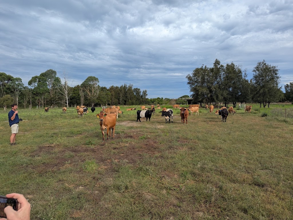 Camden Valley Farm | 8 Burragorang Rd, Cawdor NSW 2570, Australia | Phone: 0430 481 260