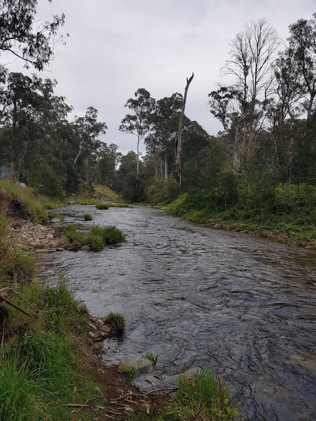 Pickerings Flat | campground | Brocks Rd, Howqua Hills VIC 3723, Australia