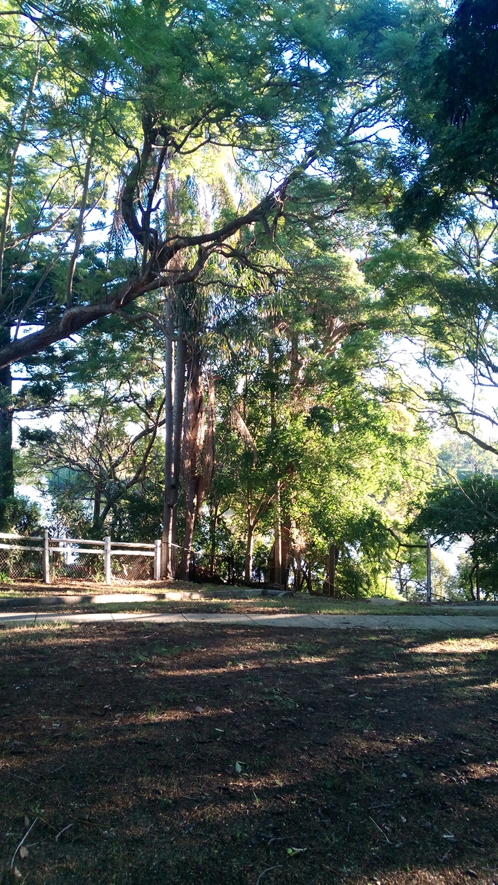 Yeronga St Park | Yeronga QLD 4104, Australia