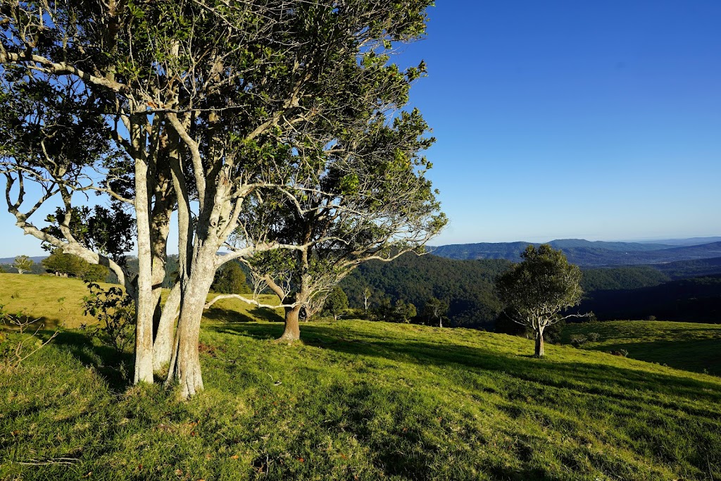 The Wagon Stop Wellness Farm | 1320 Beechmont Rd, Beechmont QLD 4211, Australia | Phone: 0468 948 447