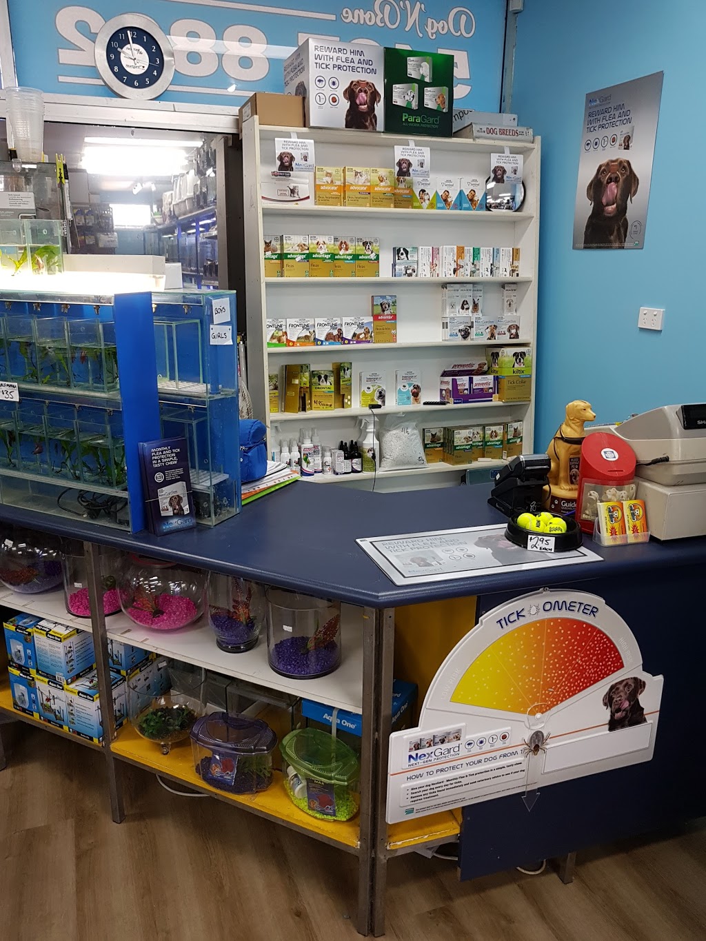 Pet Stop | pet store | 6&7/727 Nicklin Way, Currimundi QLD 4551, Australia