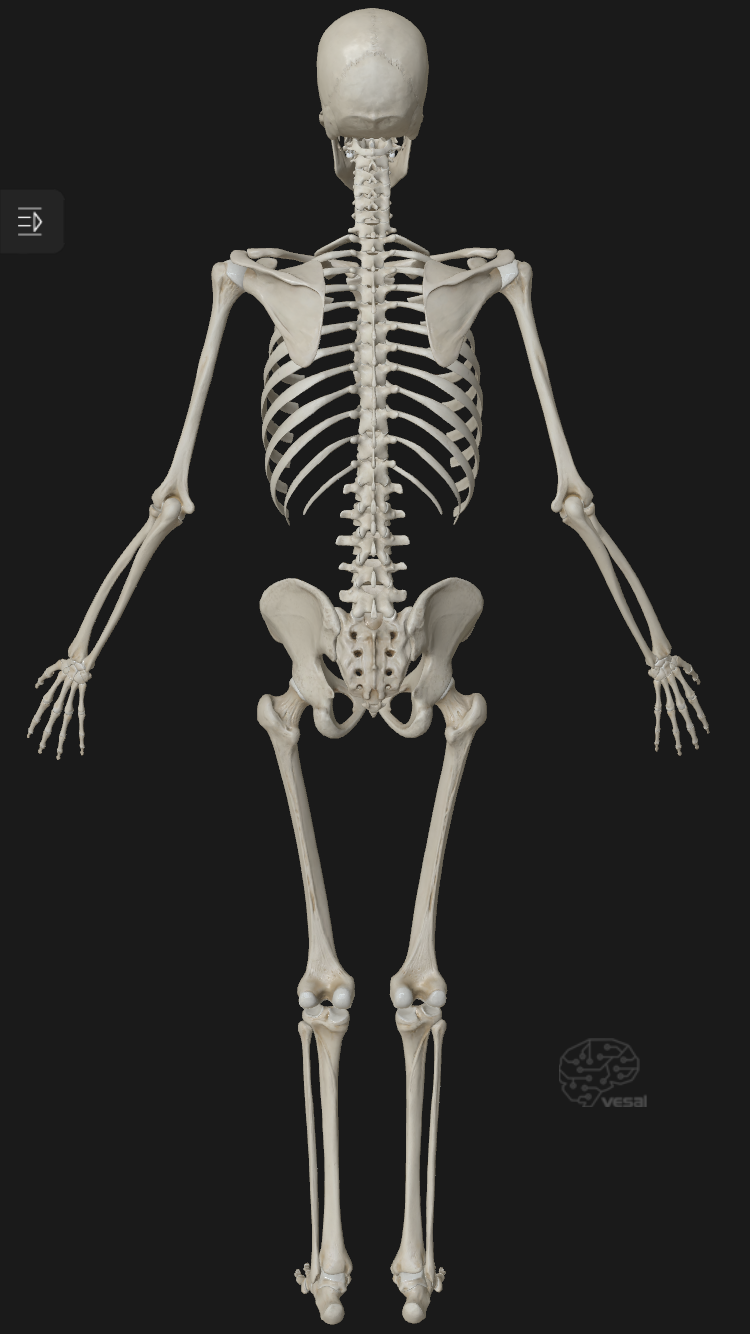 Mobile Massage Daylesford | Mineral Springs Reserve Rd, Hepburn Springs VIC 3460, Australia | Phone: 0493 701 989