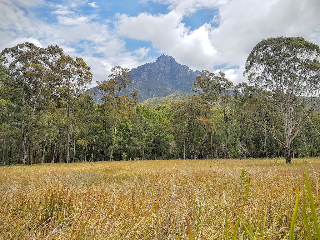 Mount Barney National Park | Burnett Creek QLD 4310, Australia | Phone: 13 74 68