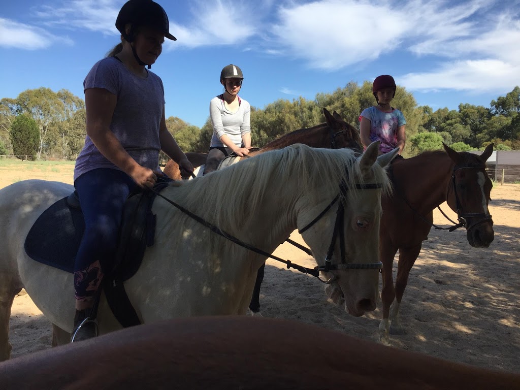 Enhanced Insight Heal your heart through horses | travel agency | 17 Grayling Ct, Globe Derby Park SA 5110, Australia | 0402419556 OR +61 402 419 556