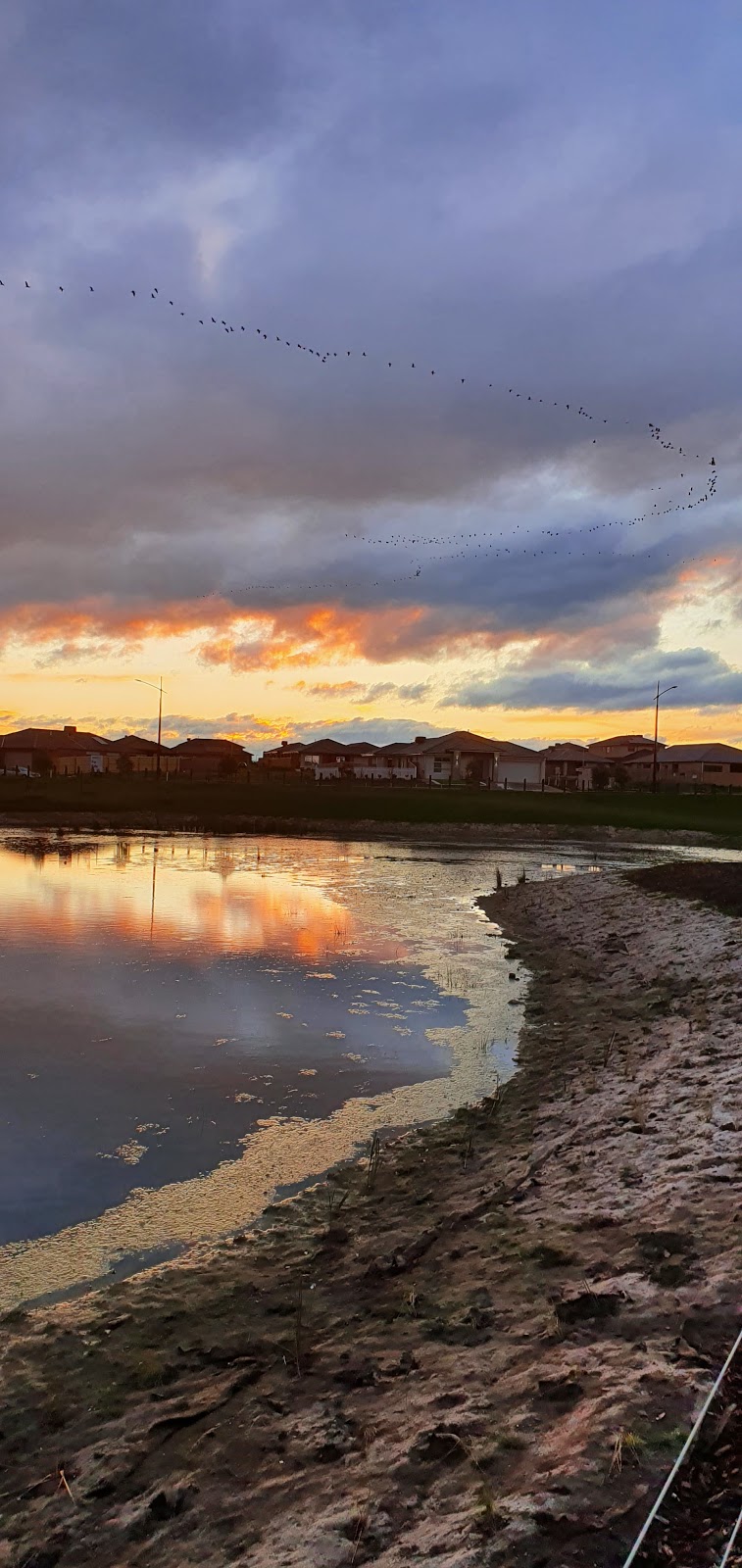 Bells Avenue Wetlands | park | 74 Bells Ave, Kalkallo VIC 3064, Australia