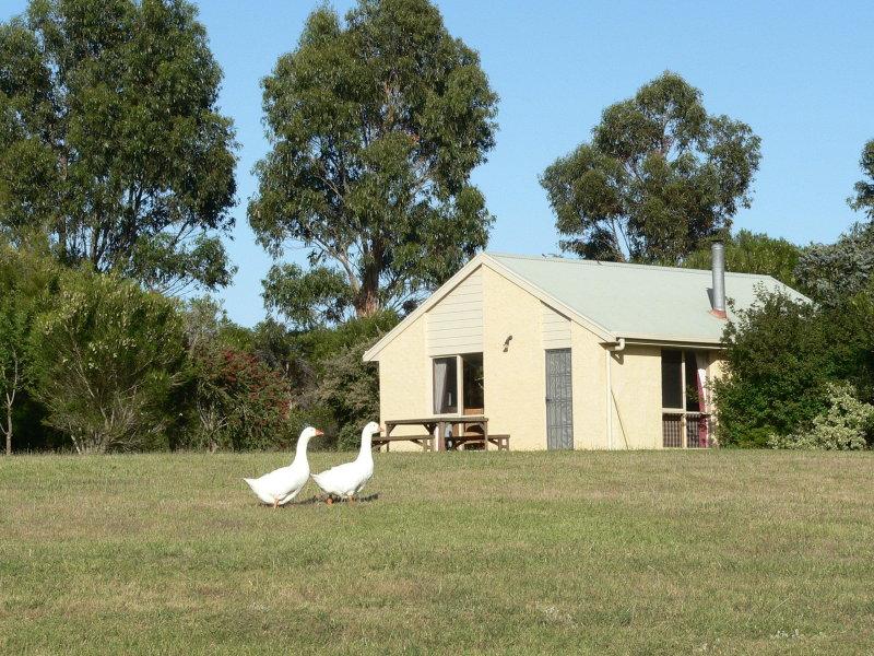 Bells Beach Cottages | 35 Dunloe Ct, Bells Beach VIC 3228, Australia | Phone: (03) 5261 5243