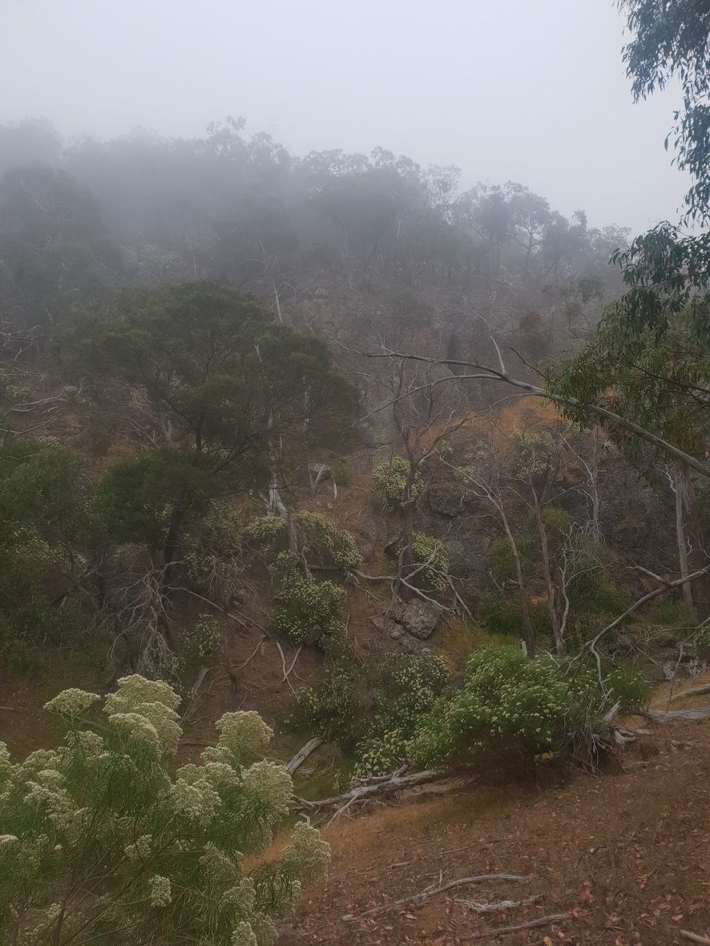 Viewing Platform | Riddells Creek VIC 3431, Australia