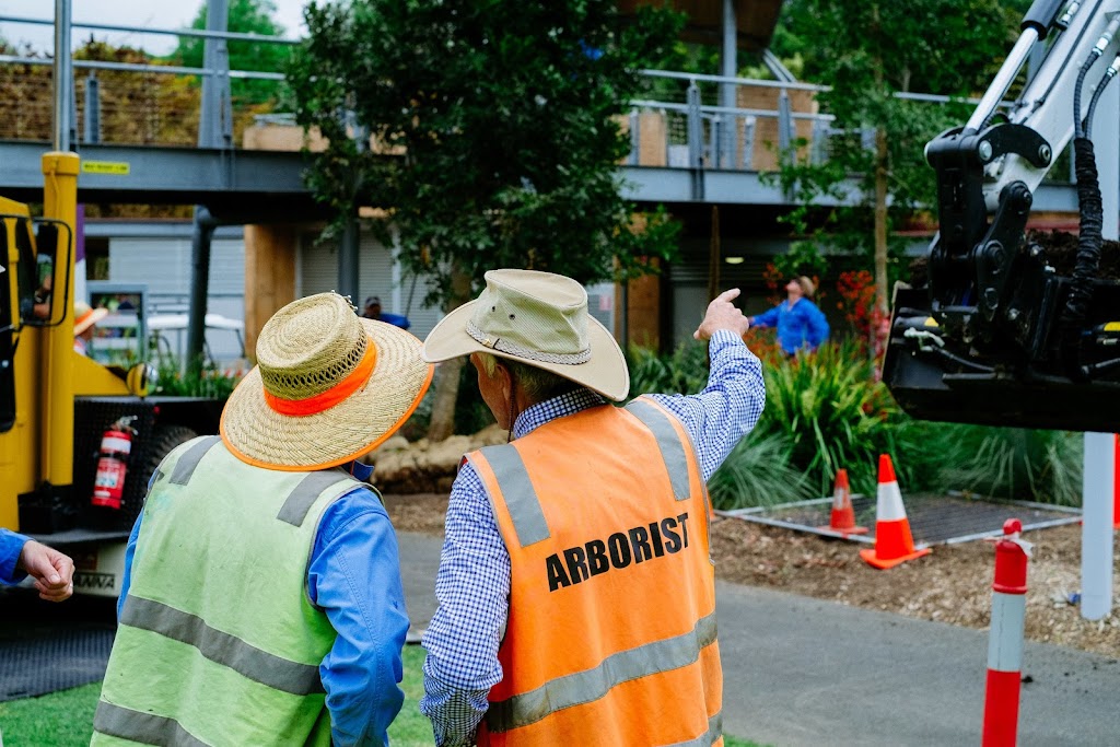 Independent Arboricultural Services - Gold Coast | Hope Island Rd, Hope Island QLD 4212, Australia | Phone: (07) 3399 5865
