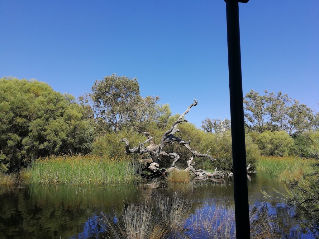 Aurora Drive Wetlands Gazebo | Aurora Dr, Atwell WA 6164, Australia
