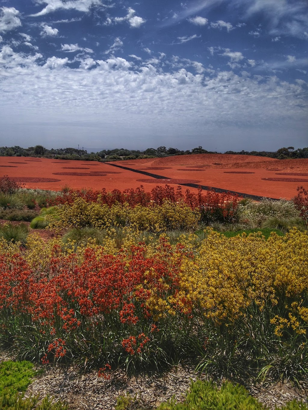 Seaside Garden, Royal Botanic Gardens Cranbourne | 1000 Ballarto Rd, Cranbourne VIC 3977, Australia | Phone: (03) 5990 2200