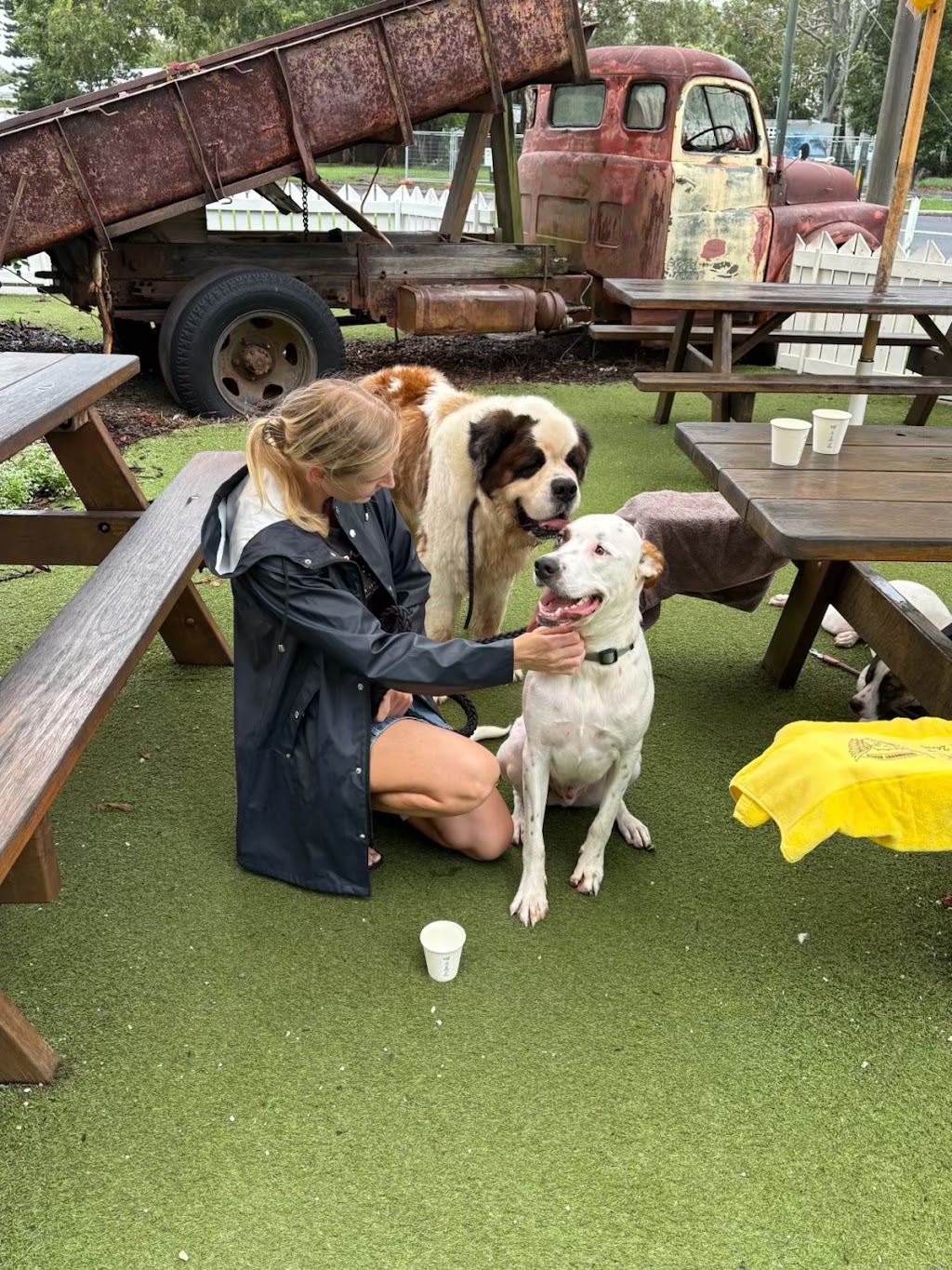 Paw-some Dog Care | Warrego Pl, Terranora NSW 2486, Australia | Phone: 0493 175 455