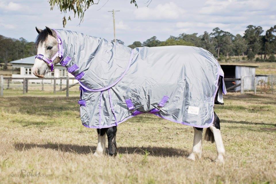 Genesis Park Equestrian Supplies | store | 2 Urquharts Ln, Stroud NSW 2425, Australia | 0401174659 OR +61 401 174 659