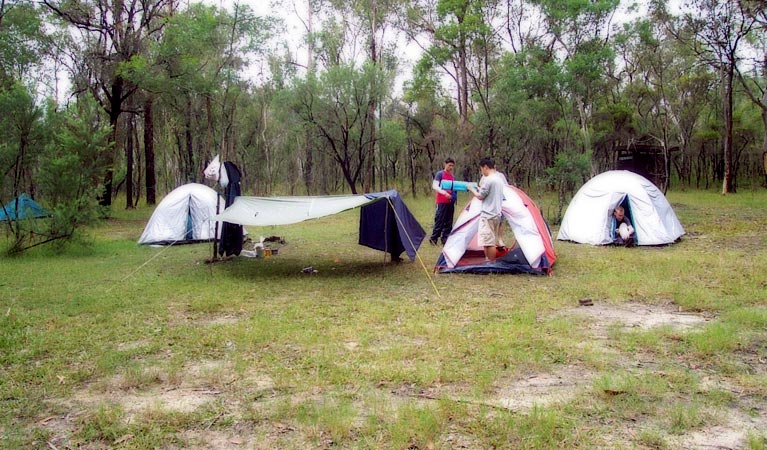 Ten Mile Hollow campground | campground | Simpsons Track, Ten Mile Hollow NSW 2250, Australia | 0243204200 OR +61 2 4320 4200