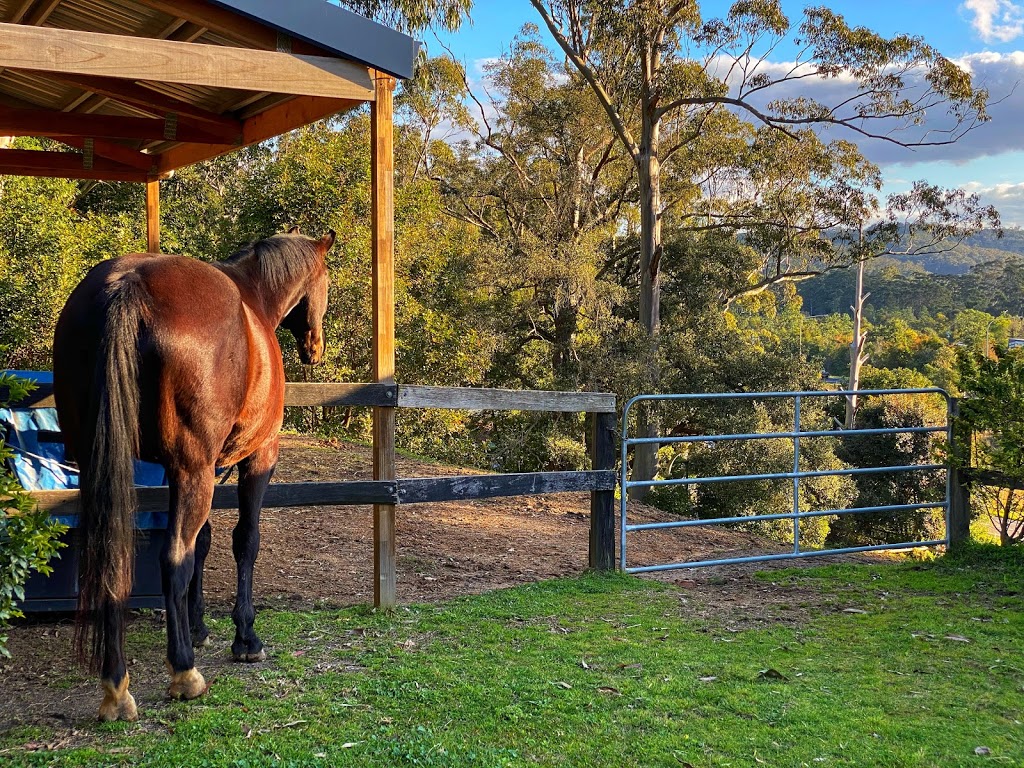 Foxhill Equestrian | 142 Pacific Hwy, Ourimbah NSW 2258, Australia | Phone: 0416 122 259