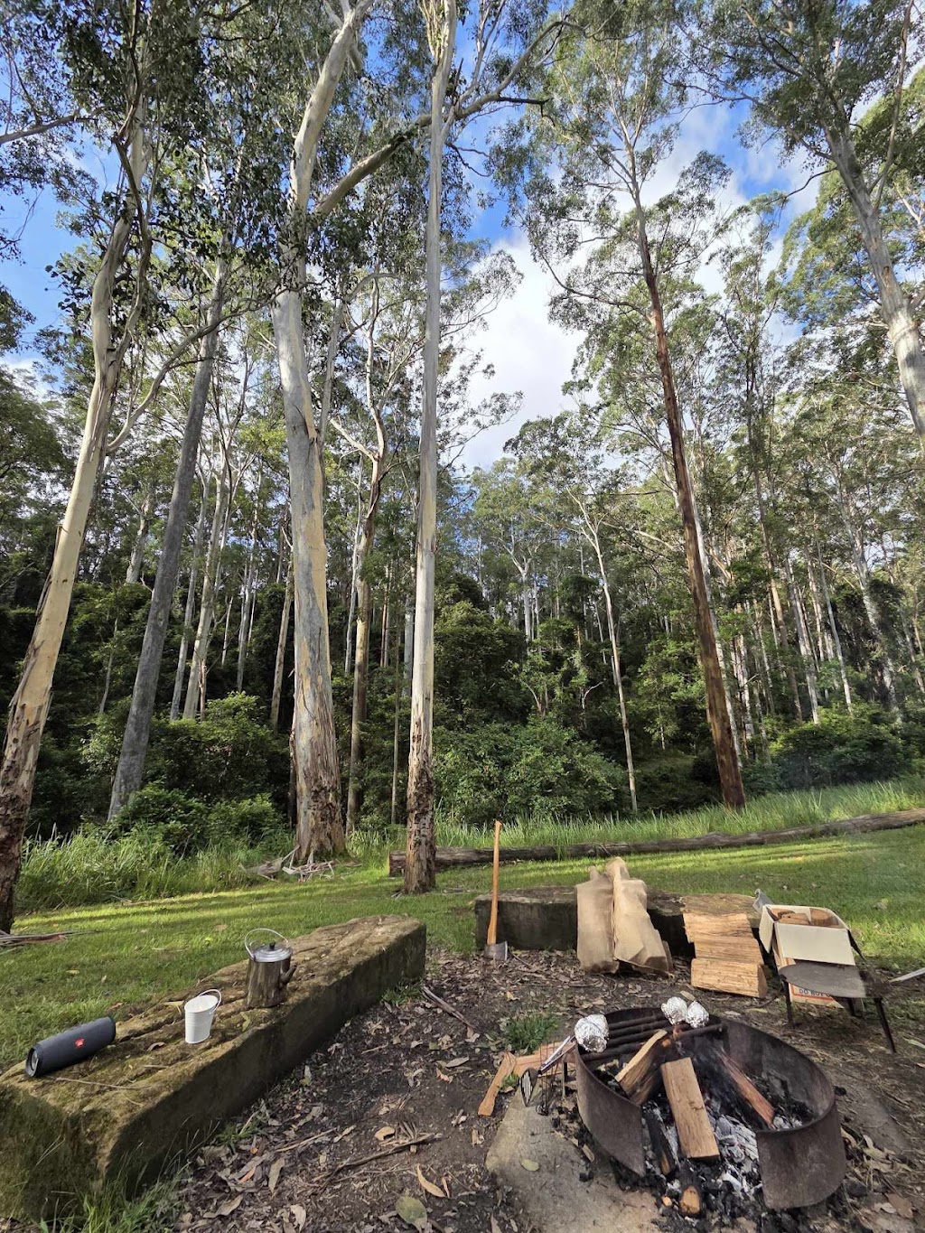 Olney State Forest | Olney NSW 2325, Australia | Phone: (02) 9872 0111