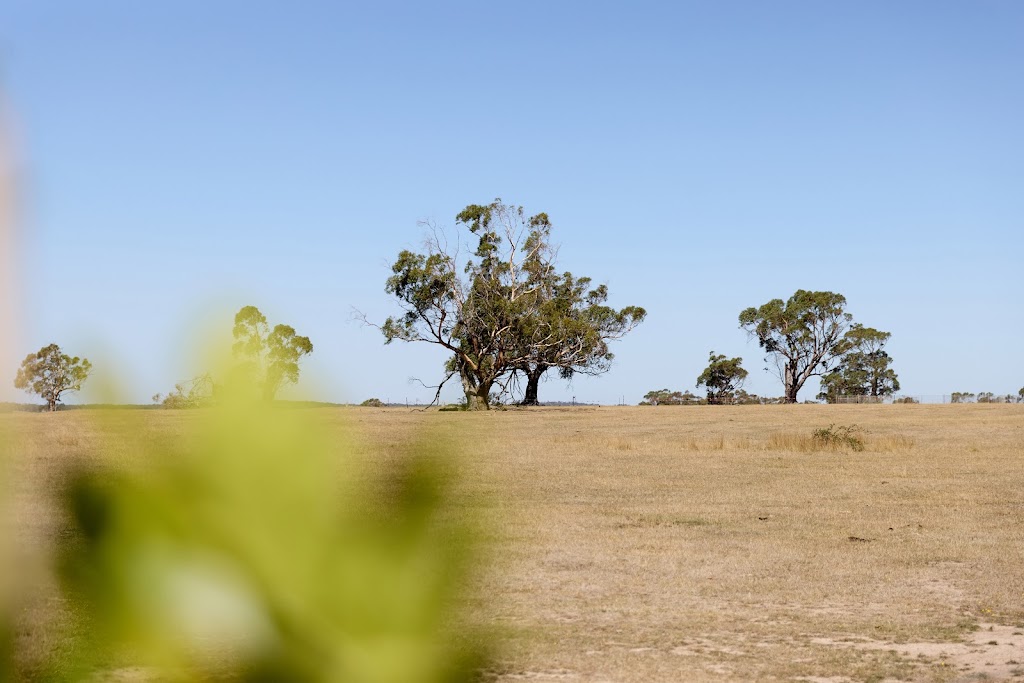 Rosalia Gisborne | 89 Ross Watt Rd, Gisborne VIC 3437, Australia | Phone: (03) 9684 8147