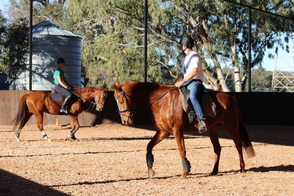 Devereaux Performance Horses |  | 988 Brand Hwy, Muchea WA 6501, Australia | 0408878437 OR +61 408 878 437