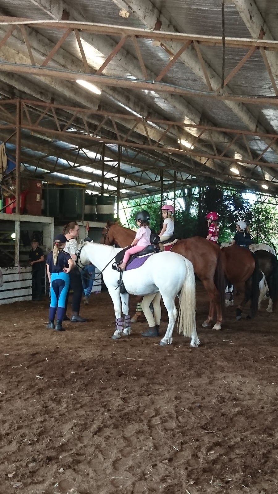 Riverside Equestrian Centre | 3666 Moggill Rd, Moggill QLD 4070, Australia | Phone: 0478 646 354