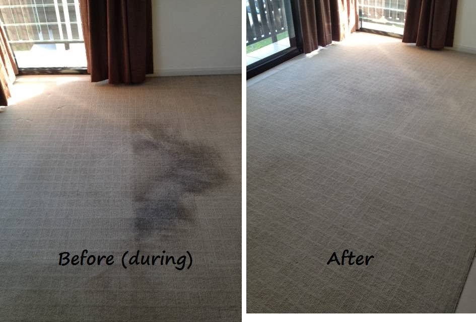 BFS Carpet Cleaning and Pest Control Sunshine Coast | laundry | 70 Mountain Creek Rd, Buderim QLD 4556, Australia | 0431265984 OR +61 431 265 984