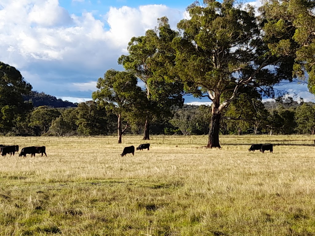 Parlour Mountain Farm, run by Hempel Enterprises Pty Ltd | 3206 Boorolong Rd Parlour Mountain Farm, Boorolong NSW 2350, Australia | Phone: 0407 755 888