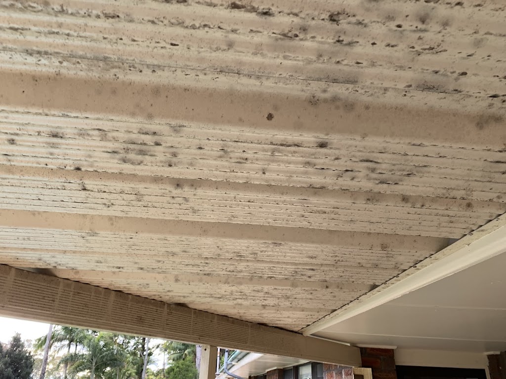 Port Macquarie house wash and pressure cleaning | 139 Park St, Port Macquarie NSW 2444, Australia | Phone: 0418 676 079
