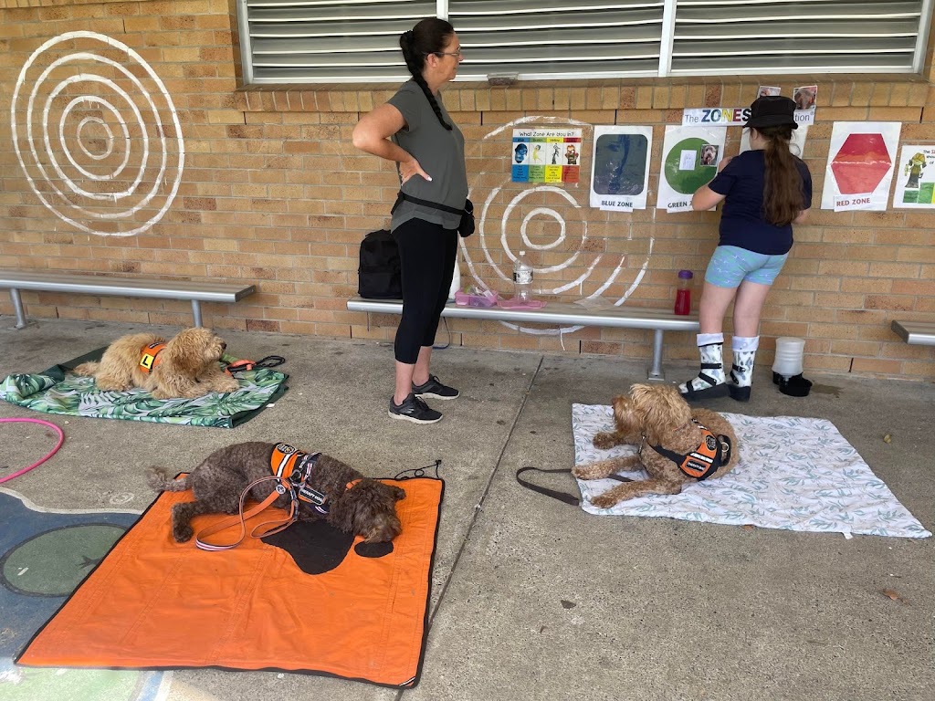 Fur Therapy Australia | Eucalyptus Dr, Banora Point NSW 2486, Australia | Phone: 0418 976 971