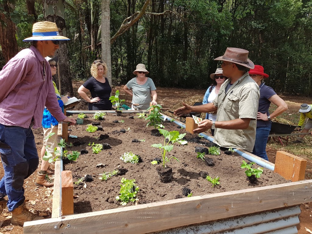 Denis Madeleine Permaculture | 395 Fernleigh Rd, Fernleigh NSW 2479, Australia | Phone: 0422 509 418