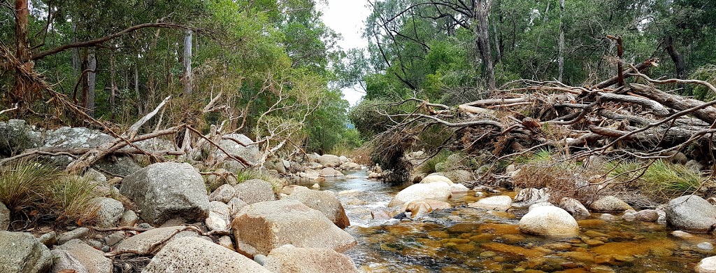 Lower Portals Camping Area | campground | Mount Barney QLD 4287, Australia | 137468 OR +61 137468