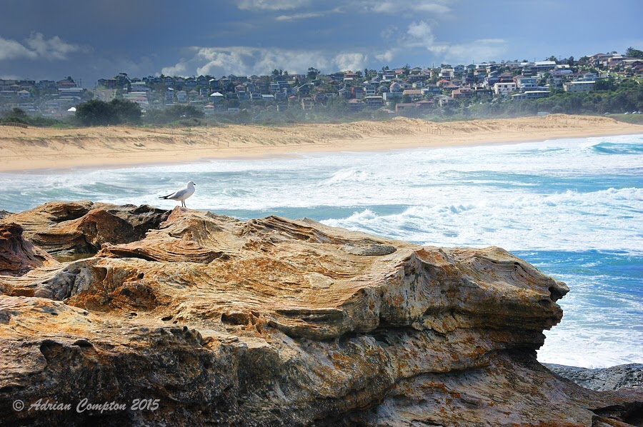 South curl curl Ocean Pool | Curl Curl NSW 2096, Australia