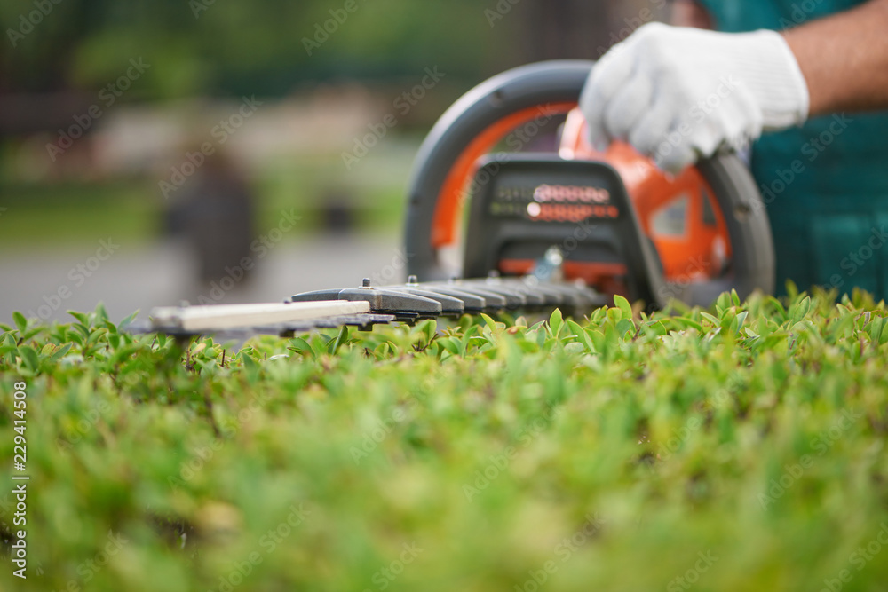 Peninsula Hedge Trimming | 17 Bruce St, Balnarring Beach VIC 3926, Australia | Phone: 0425 734 904