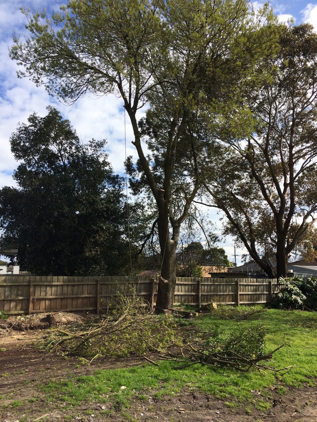 Grindaway Trees and Stumps | park | 7 Avril St, Scoresby VIC 3179, Australia | 0456223094 OR +61 456 223 094