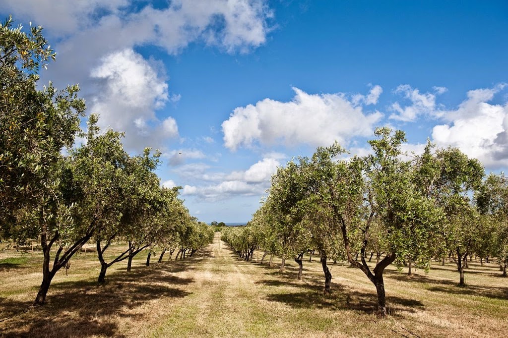 The Farm Willunga | 11 Martin Rd, Whites Valley SA 5172, Australia | Phone: 0434 125 172