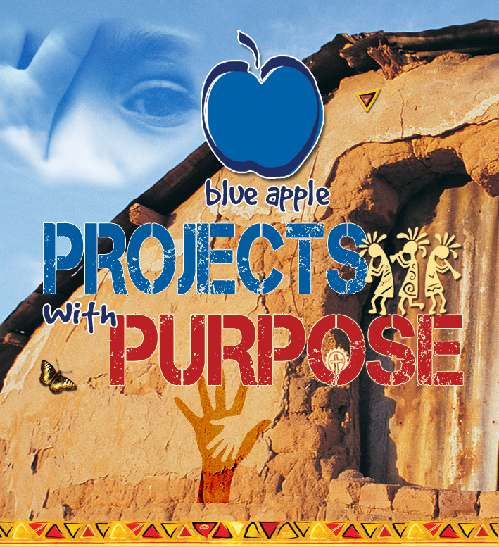 Blue Apple Projects | 43 Kensington Dr, Cooroy QLD 4563, Australia | Phone: 0435 800 930