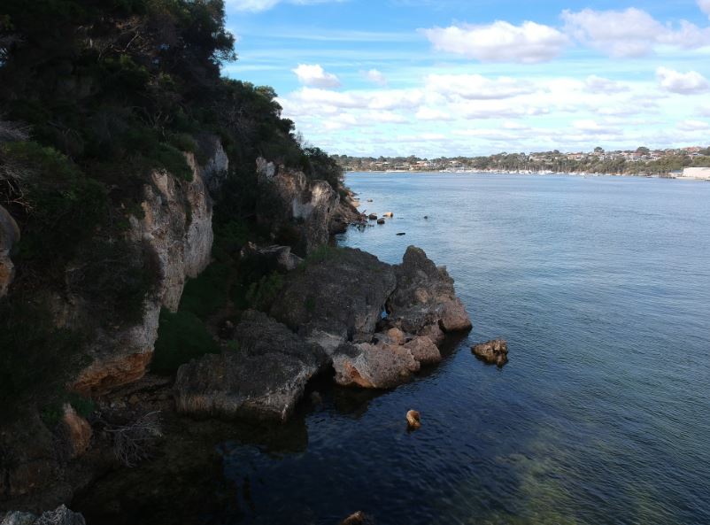 Minim Cove Park | park | Mosman Park WA 6012, Australia