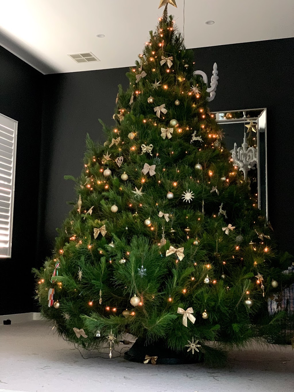 Coburg Christmas Trees | 75 Ohea St, Coburg VIC 3058, Australia | Phone: (03) 9354 1676