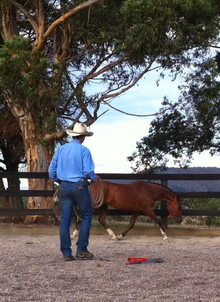 Jason McInnes - Eclectic Equine |  | 575 Middle Creek Rd, Yarck VIC 3719, Australia | 0400505561 OR +61 400 505 561