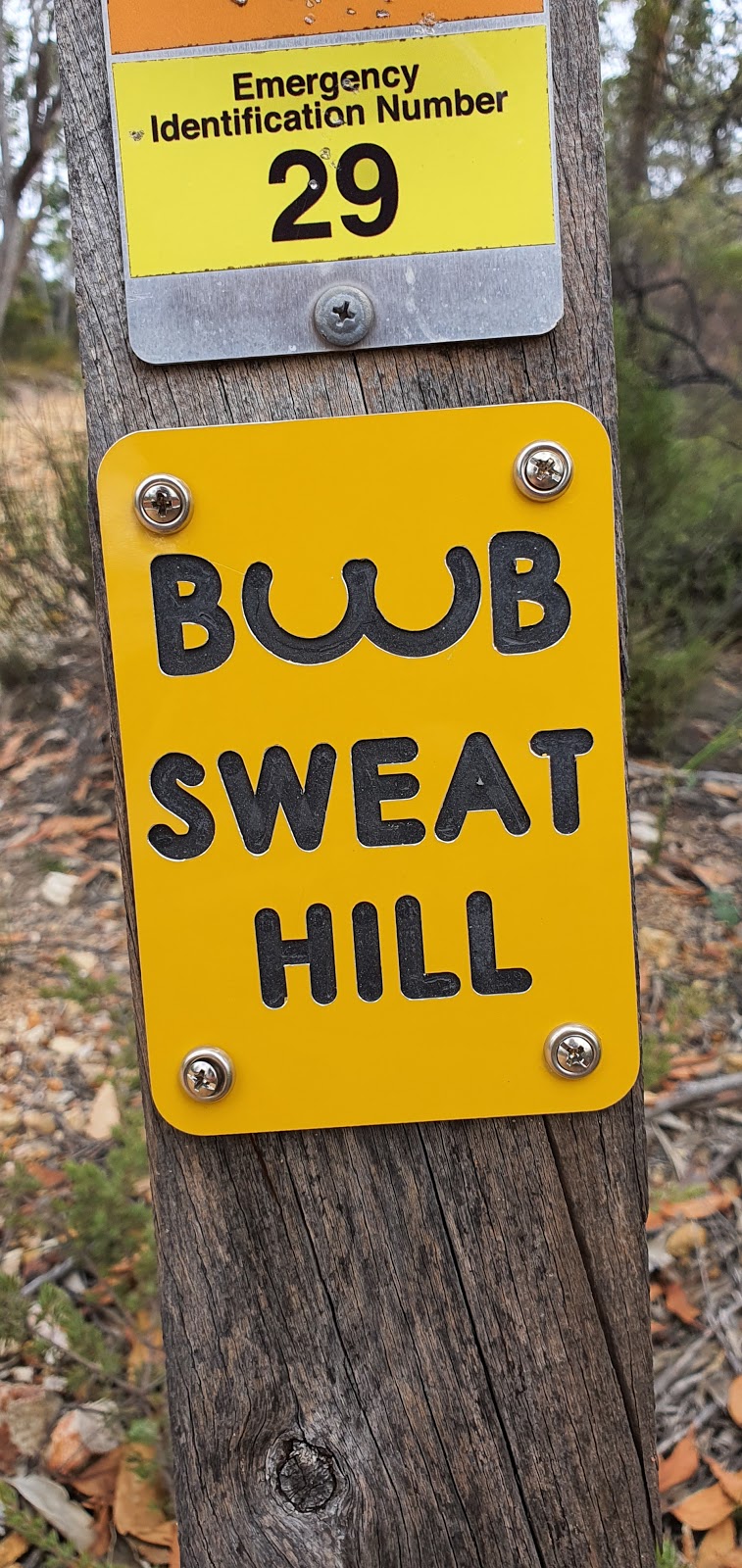 Bwb sweat hill -Adventure Hike | park | Chinamans Hut Track, Cleland SA 5152, Australia