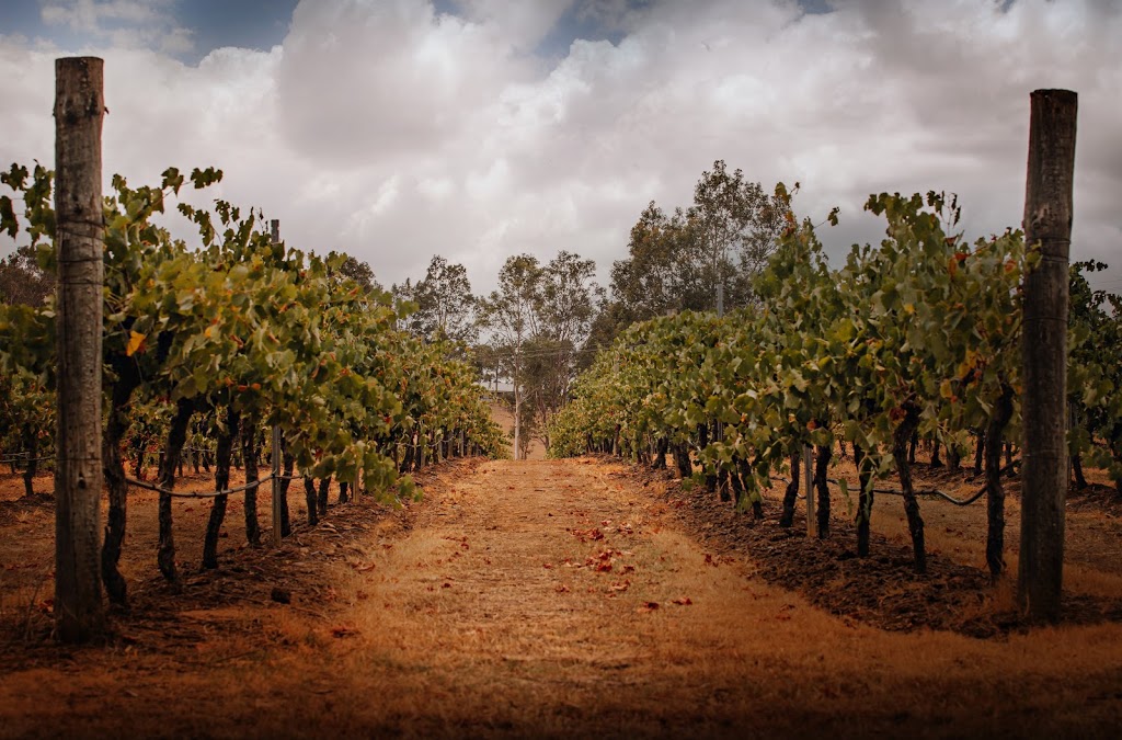 Adams Leap Wines | 535 Hermitage Rd, Pokolbin NSW 2320, Australia | Phone: 0409 664 983