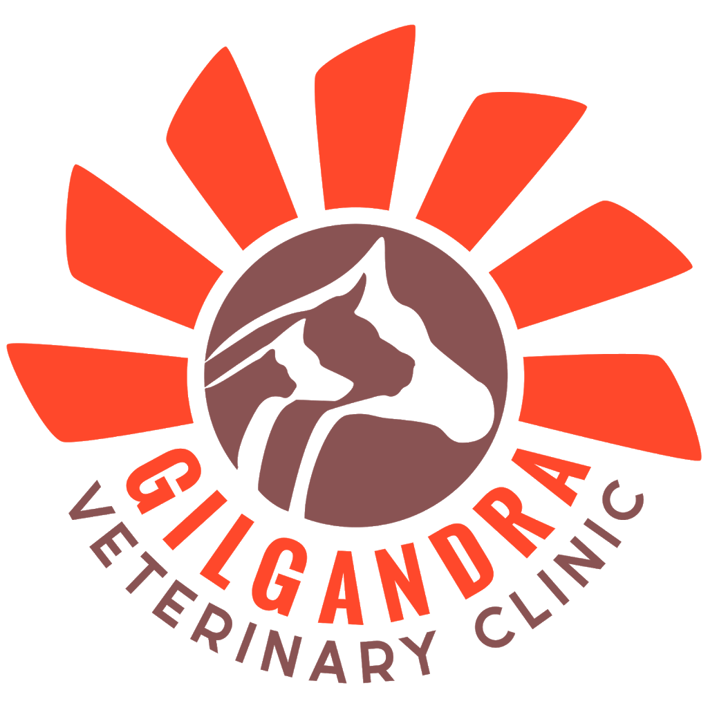 Gilgandra Veterinary Clinic | veterinary care | 2 Enterprise Dr, Gilgandra NSW 2827, Australia | 0268471129 OR +61 2 6847 1129