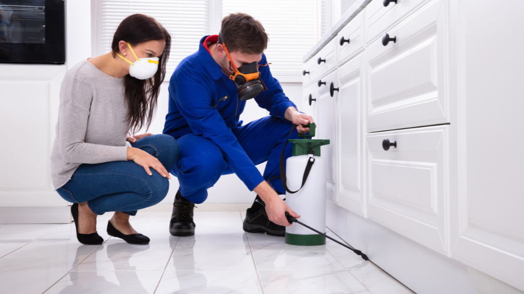 Pest Control Homebush | School Rd, Homebush VIC 3465, Australia | Phone: (03) 8583 2128