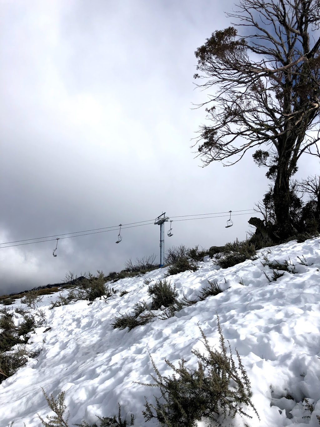 The Shed Ski Hire | 4 Nettin Cct, Jindabyne NSW 2627, Australia | Phone: (02) 6456 2711